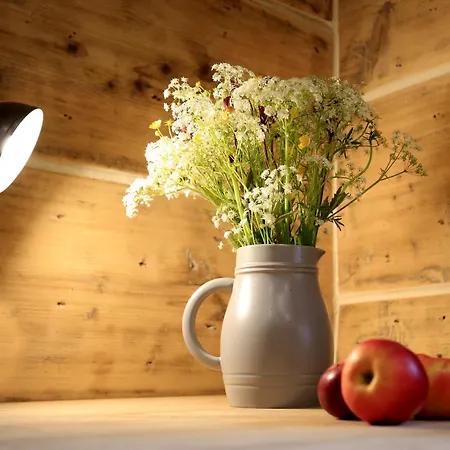 Casa de Férias Drevenica Luki *