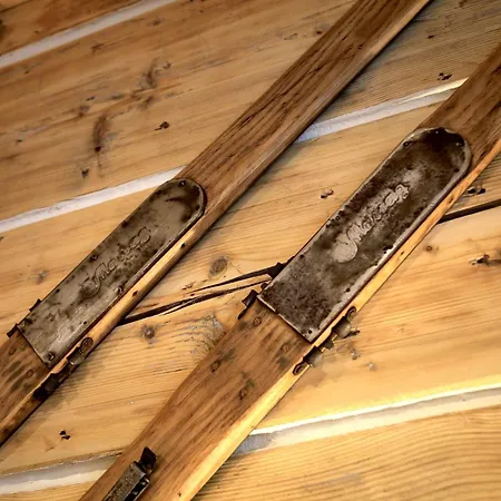 Drevenica Luki Casa de Férias Ždiar