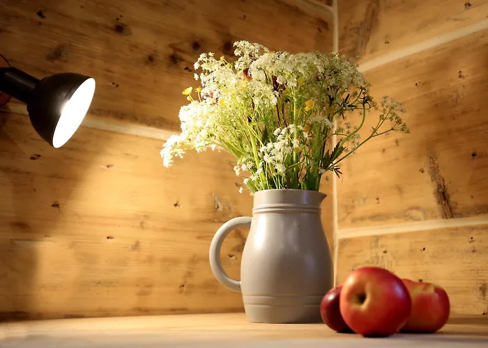 펜션 Drevenica Luki *